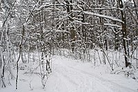 [photo]