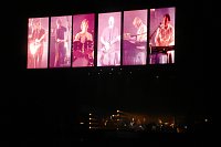 [photo]