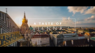 A Taste of Vienna